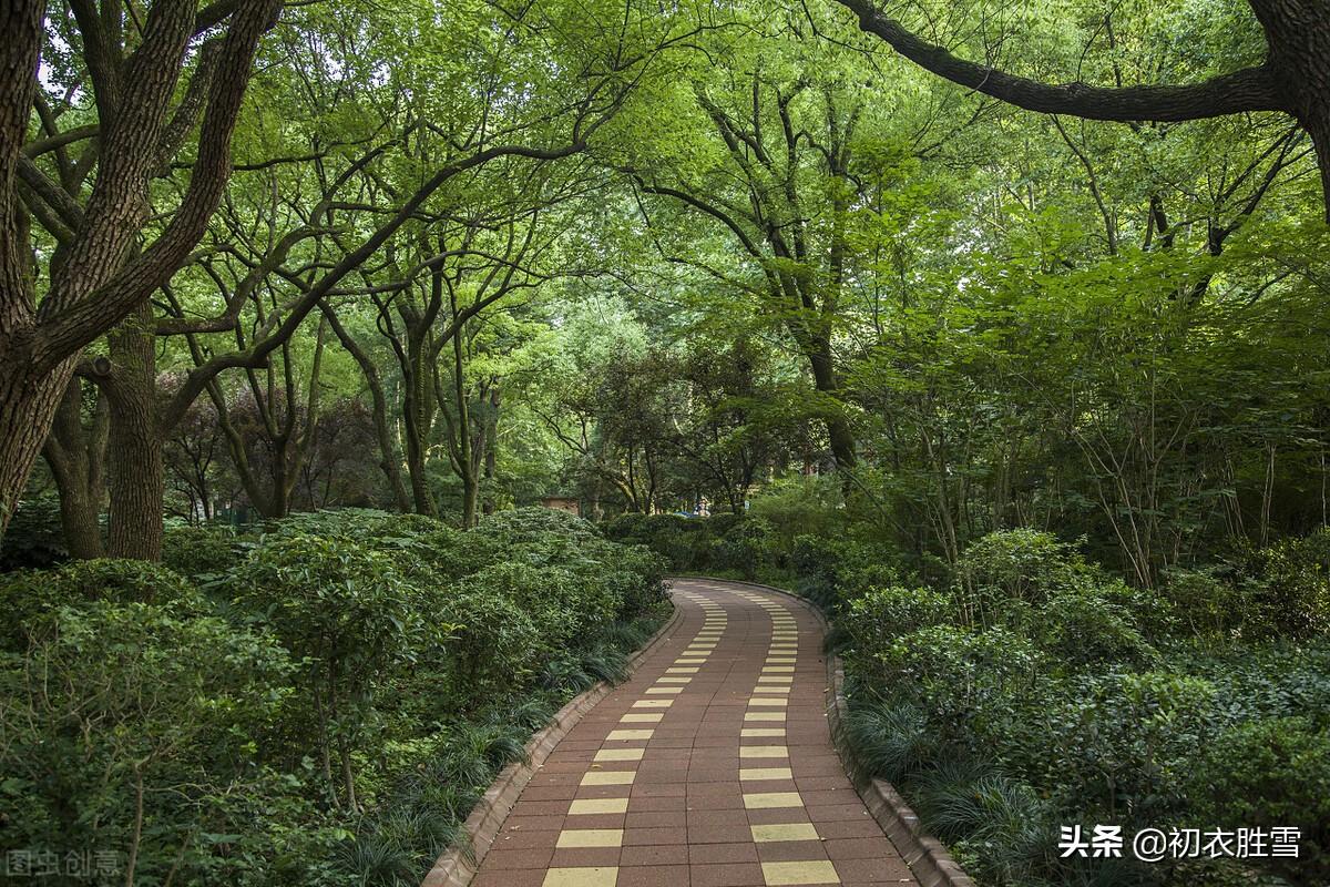 春深诗词六首赏析（何处春深好，城春草木深）