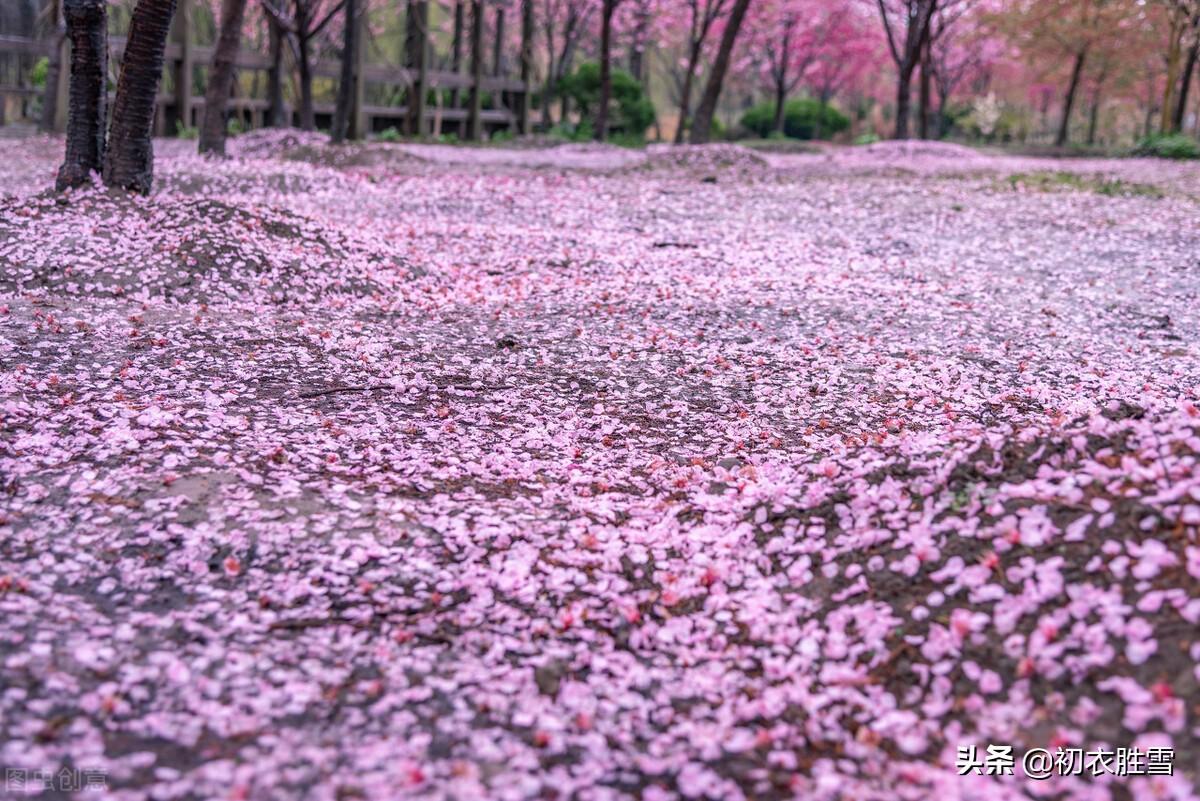 落花经典诗词大全（落花古诗10首精选）