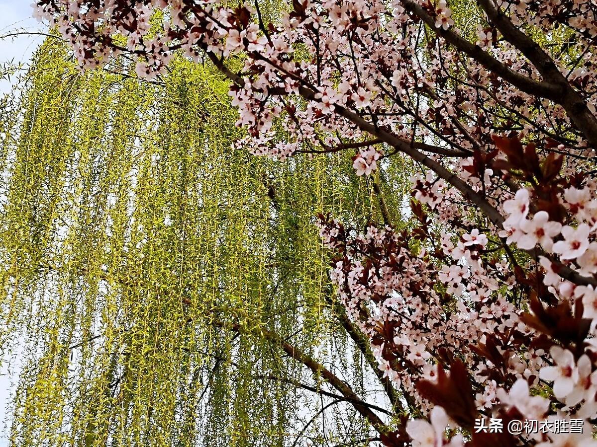 花朝闲适经典诗词（花朝唯美诗词5首鉴赏）