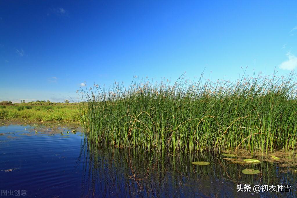 李煜仲春春草唯美古诗词（春草如愁，离恨如水）