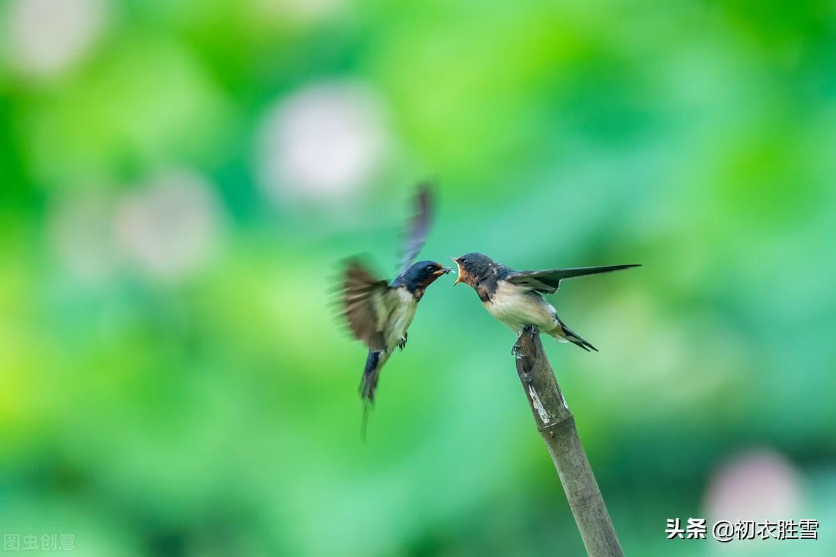 春分经典诗词有哪些（春分诗词五首赏读）