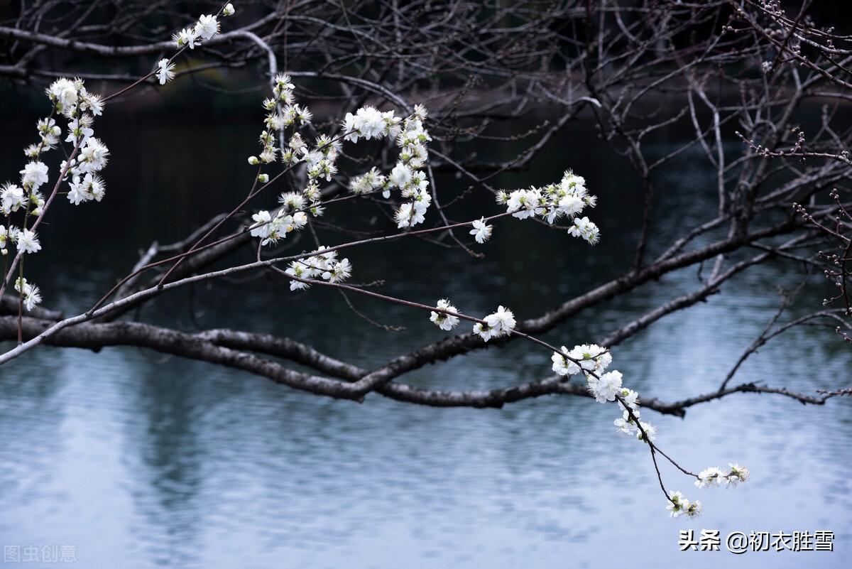 春愁经典古诗词鉴赏（春愁唯美6首古诗）