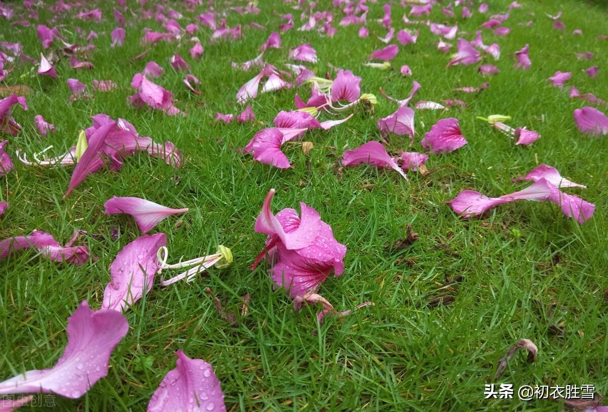 仲春烟雨唯美诗词四首（檐头可怜风，杏梢烟雨红）