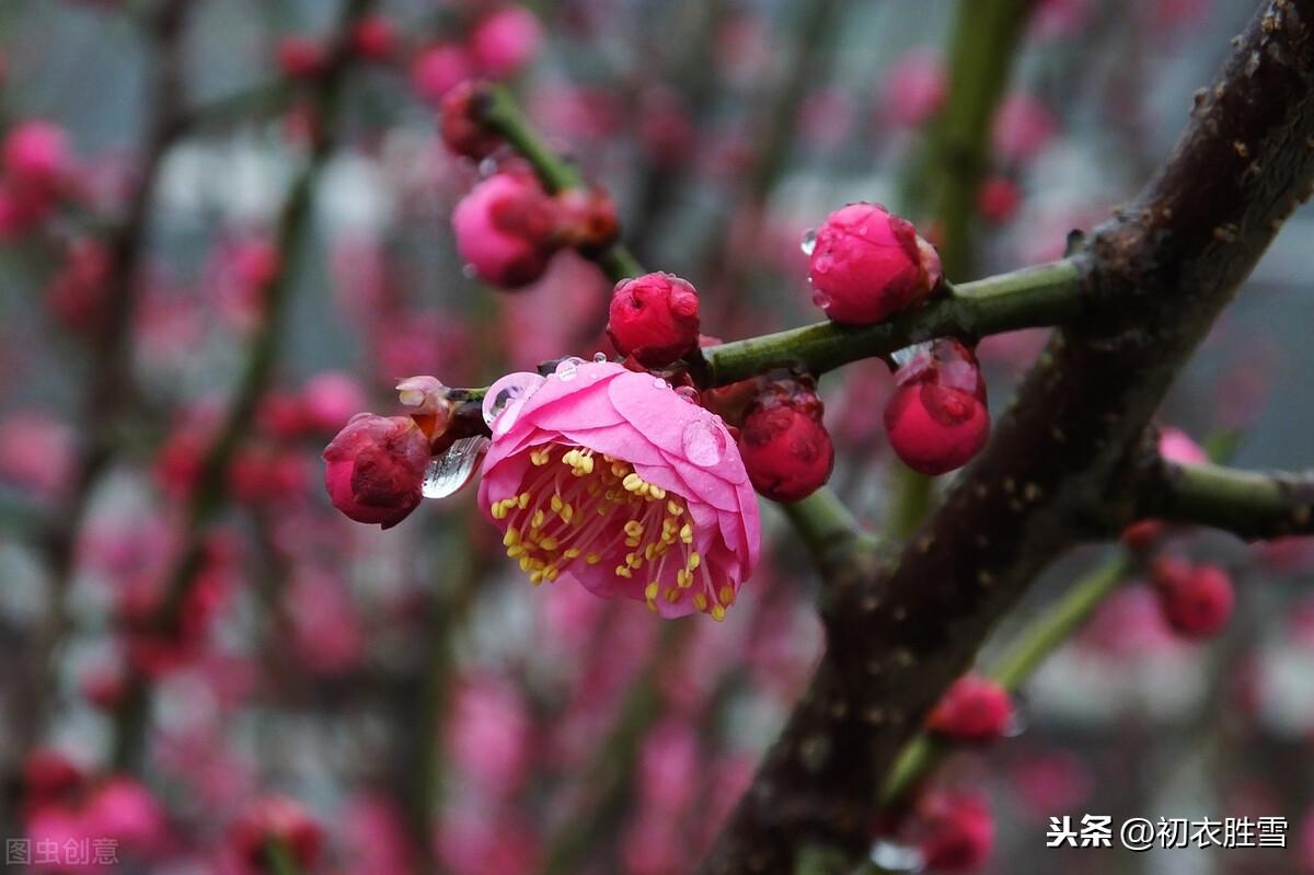 雨水节气，天一生水（推荐6首美丽的春水和春雨诗）