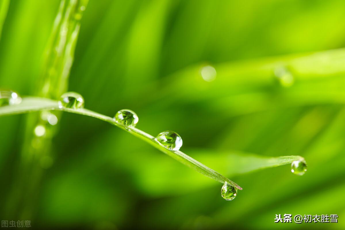 雨水节气，天一生水（推荐6首美丽的春水和春雨诗）