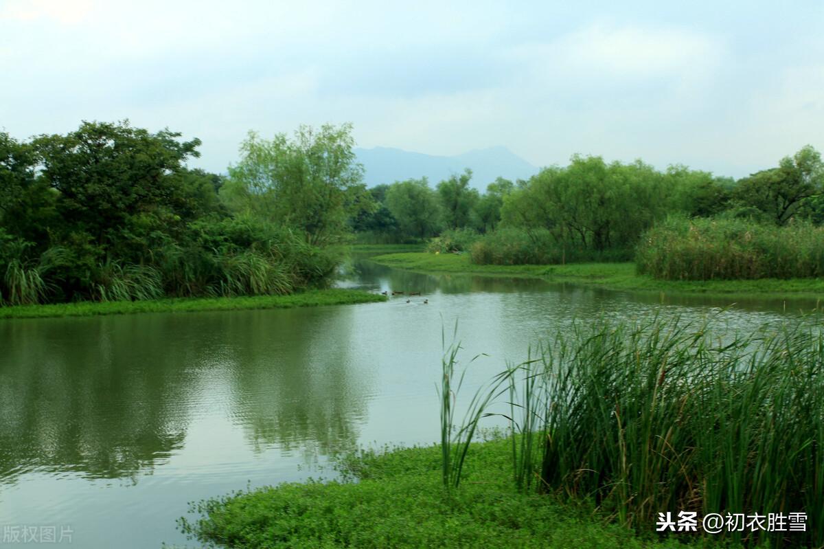 雨水节气，天一生水（推荐6首美丽的春水和春雨诗）