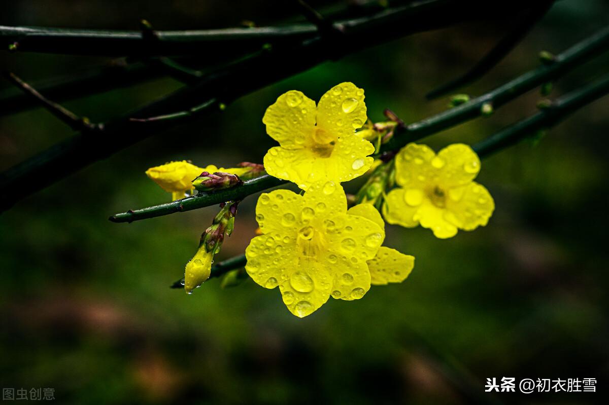 雨水节气，天一生水（推荐6首美丽的春水和春雨诗）