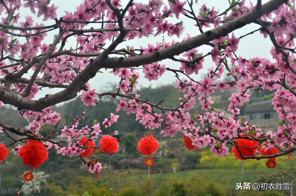 人心新岁月，春意旧乾坤（新年新春祝福诗词五首）