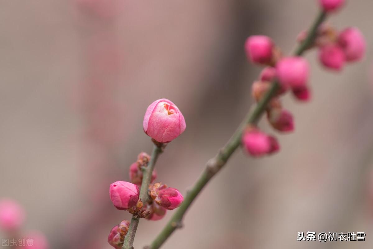 小寒经典诗词大全（小寒节气晏殊词）