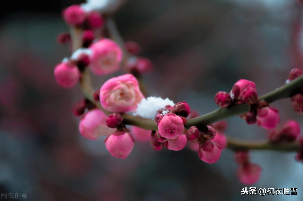 小寒经典诗词大全（小寒节气晏殊词）