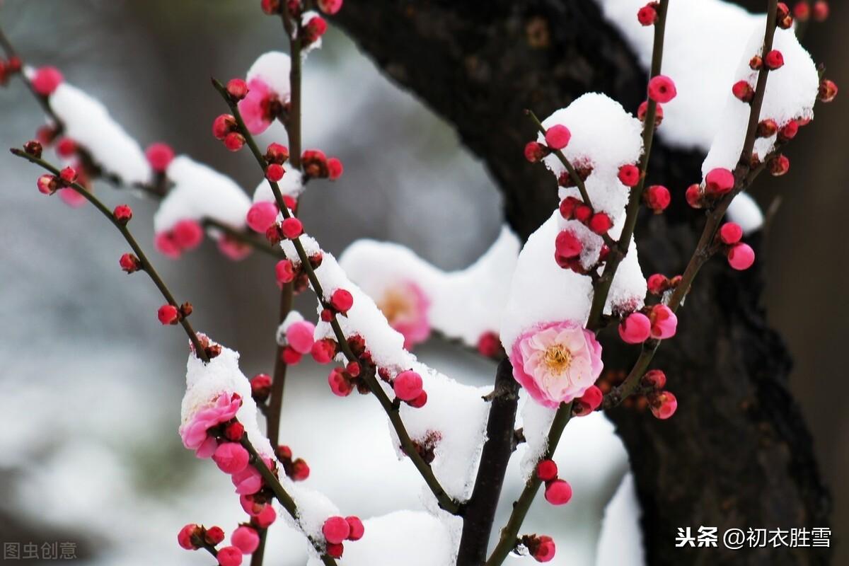 小寒经典诗词大全（关于小寒经典诗词）