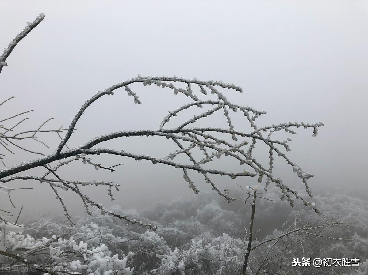 风雪乱山深，风雪夜归人（风雪古诗词9首）