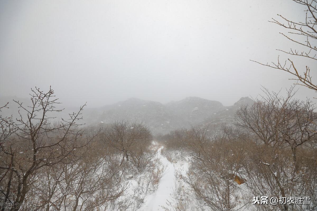 风雪乱山深，风雪夜归人（风雪古诗词9首）