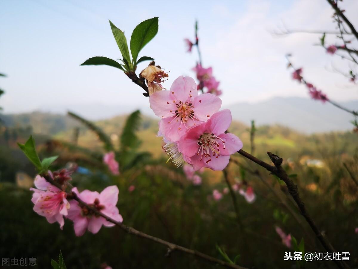 立冬经典诗词大全（十月谁云春小，一年两见春花）