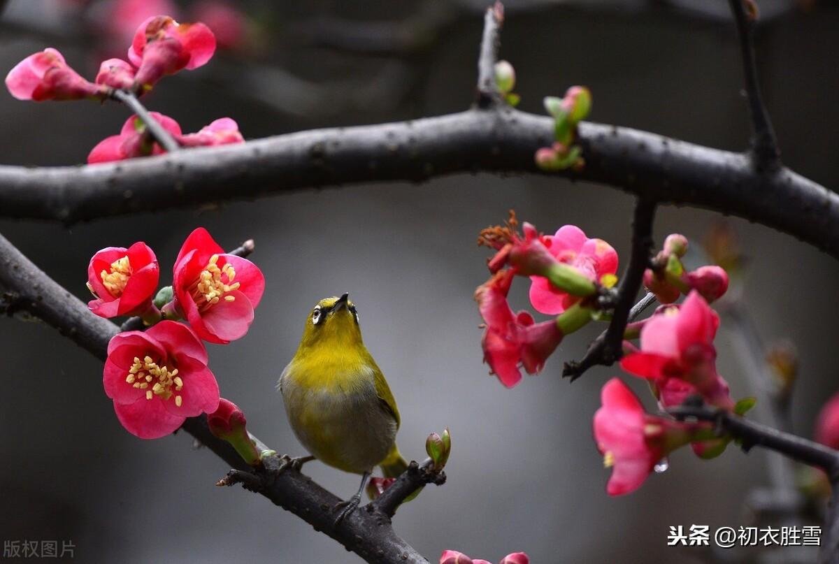 立冬经典诗词大全（立冬节气唯美古诗词）