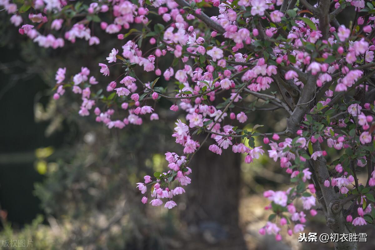 立冬经典诗词大全（立冬节气唯美古诗词）