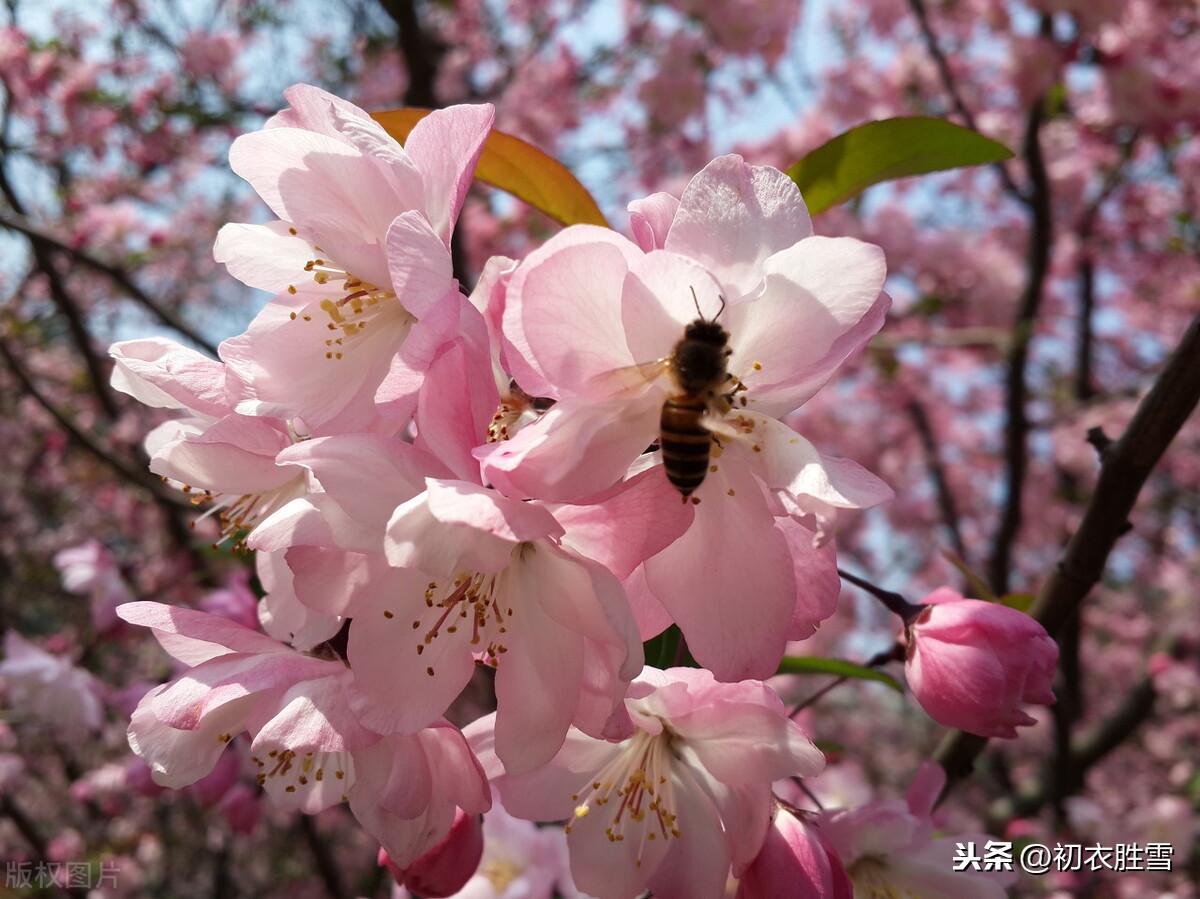 立冬经典诗词大全（立冬节气唯美古诗词）