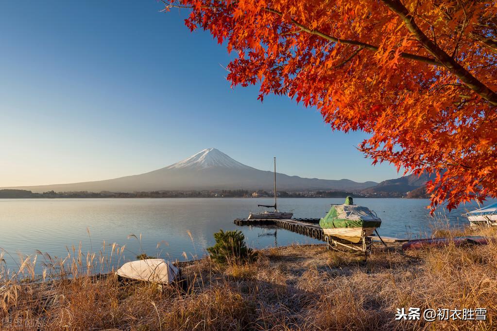 芦花经典诗词有哪些（枫叶芦花诗词八首）