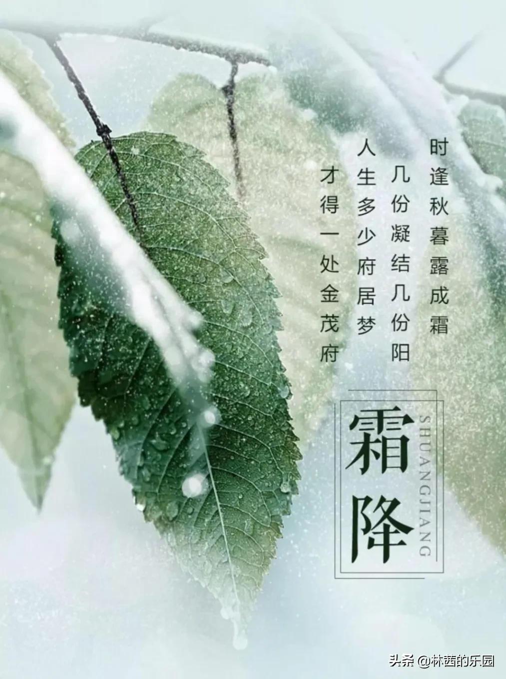 霜降经典的古诗大全（8首优美的霜降诗词）