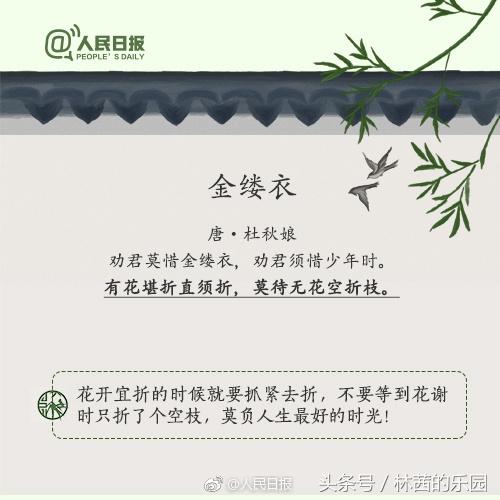 时光唯美古诗大全（珍惜时光的9首诗词）