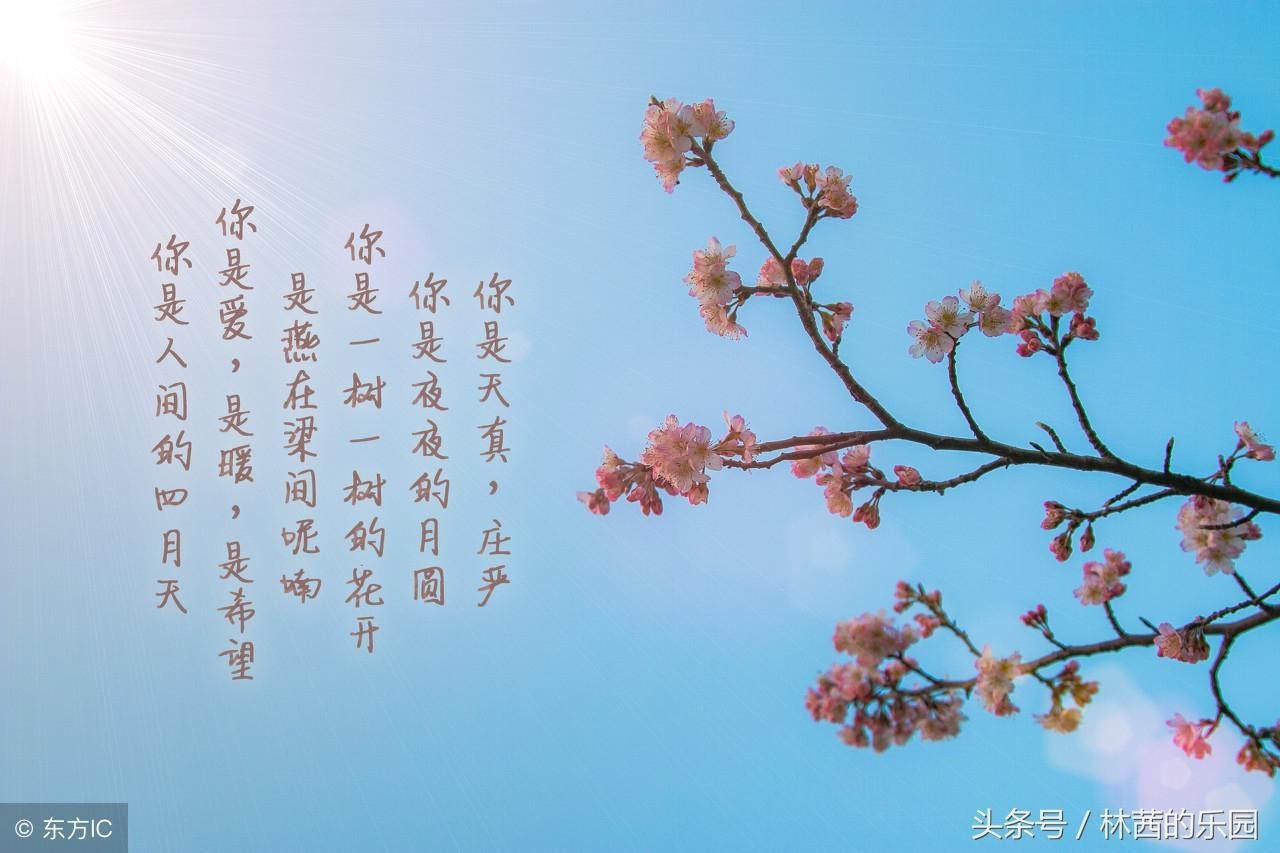 时光唯美古诗大全（珍惜时光的9首诗词）