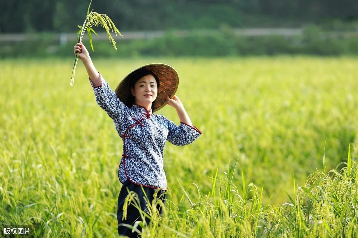 纵然一夜风吹去，只在芦花浅水边（20首经典田园诗）