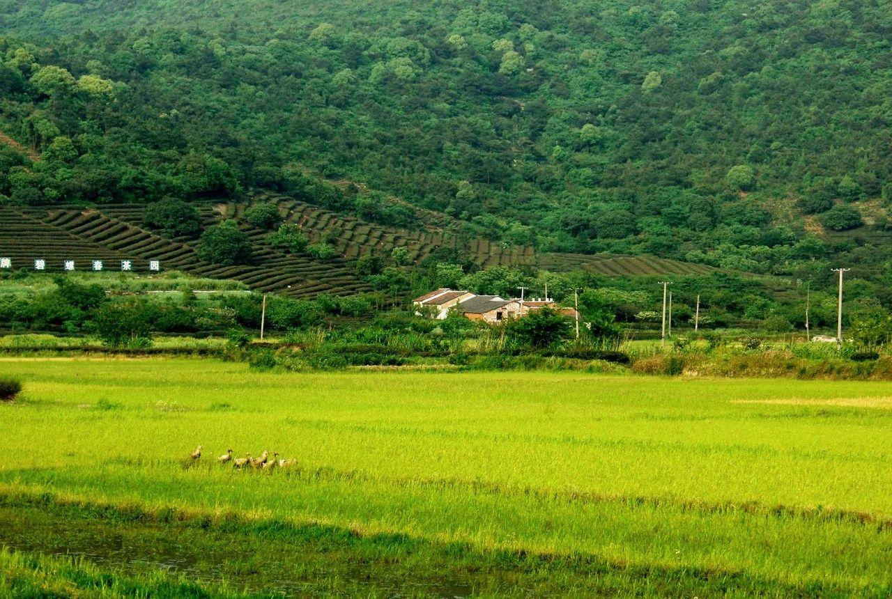 田园经典古诗有哪些（80句唯美田园诗词）