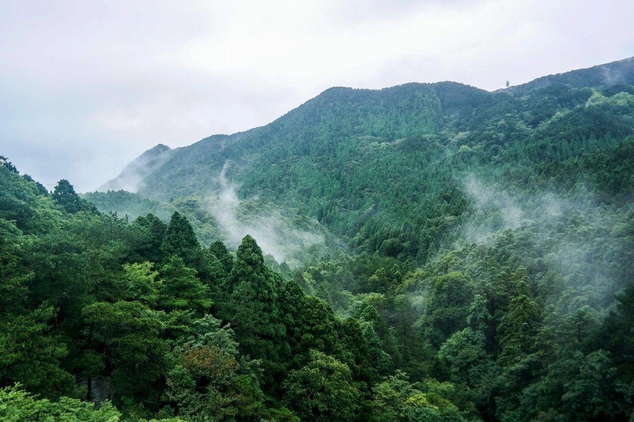 山行经典古诗（10首山行诗词古句）