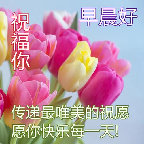 周末愉快早上好问候语（周末清晨，幸福满溢）