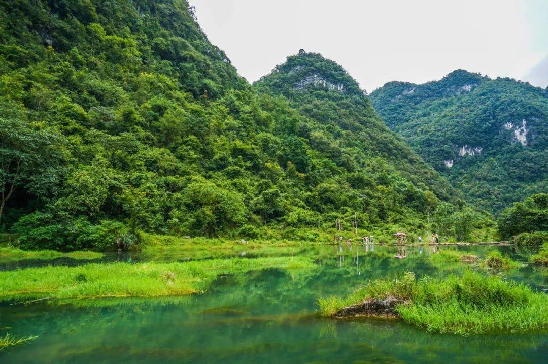 但看花开花落，莫论人间短长（六首经典佛系诗词）