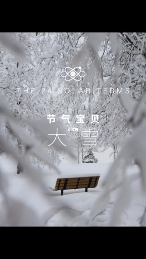 24节气大雪的句子（《大雪节气）