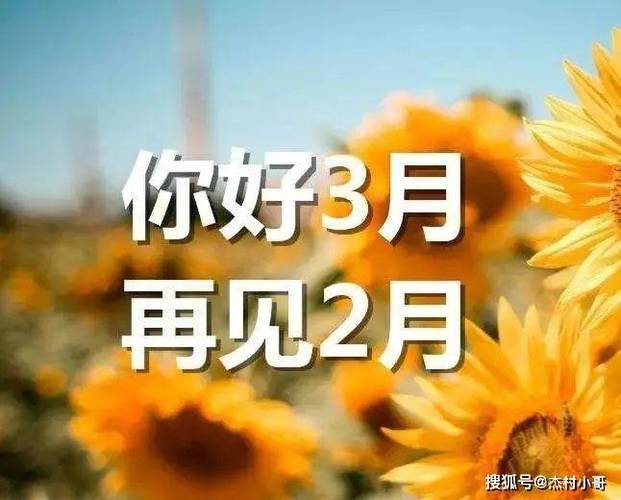 2020年第一天上班朋友圈说说（迎接2023，用唯美短句述说天上班）