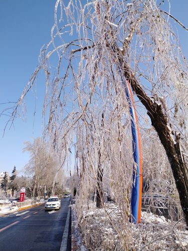 冬天的第1场雪文案（初雪临窗，触动心弦）