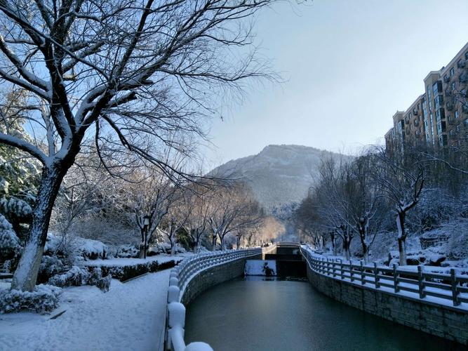 3020年第一场雪说说（初雪降临，静静的美好）