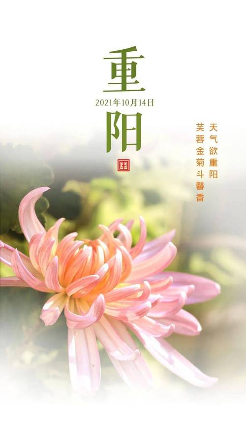 适合重阳节发的朋友圈短句（登高望远）