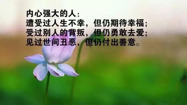 激励人心的句子简短 正能量激励人的短句（发掘生命无限可能）