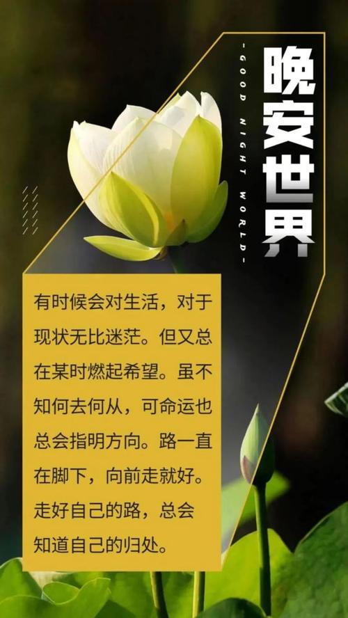 女人正能量晚安说说心情短语（正能量女人晚安心语）