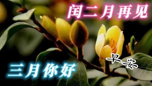 2月再见3月你好的励志说说（岁月如歌，再见三月你好二月）