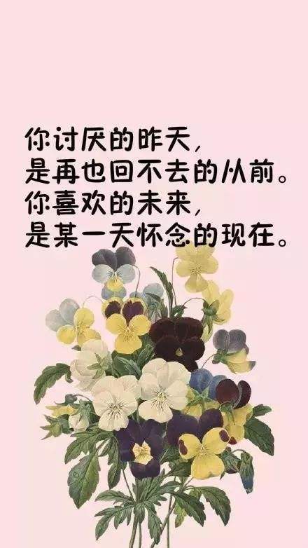 哲学的句子摘抄（《哲思诗行》）