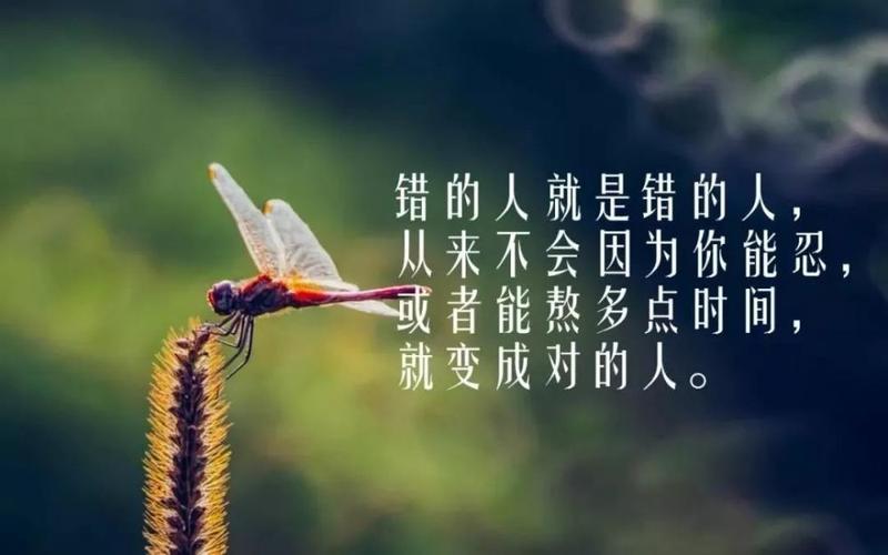 哲学的句子摘抄（探寻人生意义——哲学句子短经典）