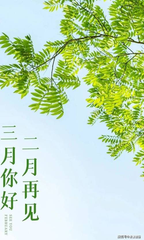 2月再见3月你好的说说（美丽的时刻，美丽的回忆）