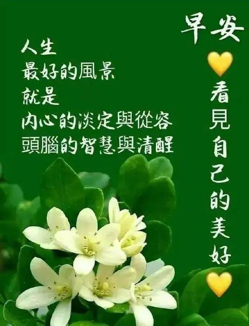 有关早上好问候语祝福短句的句子有哪些（《清晨的祝福》）