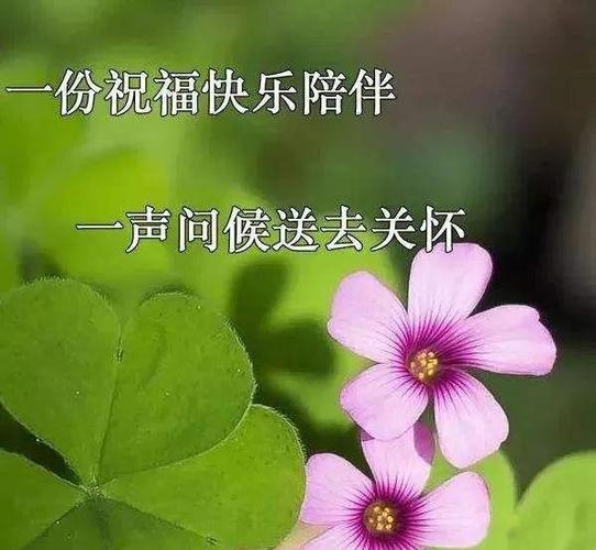 关于早上好的问候语有哪些（《早上好，温馨问候》——唤醒心灵的美好）