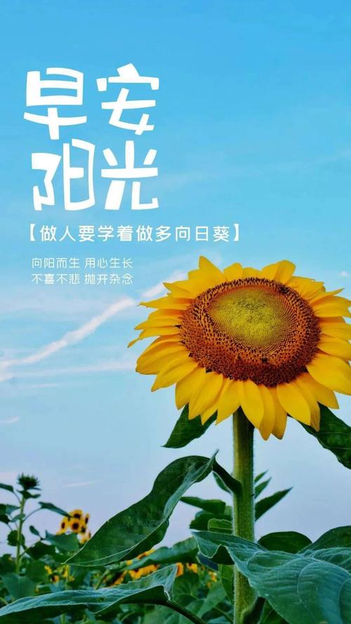 2021年早安励志正能量的说说（2023早安语录：唤醒内心的美好生活）