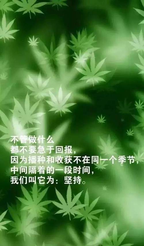 有关早安语录适合发朋友圈的句子2023的短句（清晨的温柔句子，温暖心灵的早安语录）