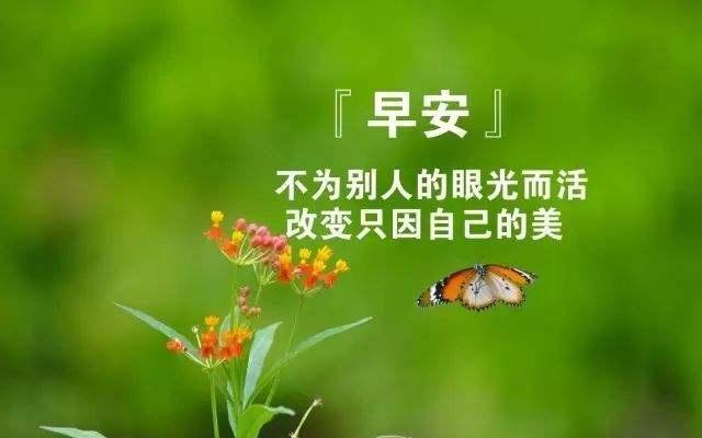 早安的句子简短朋友圈说说（中元节，我想起了你）