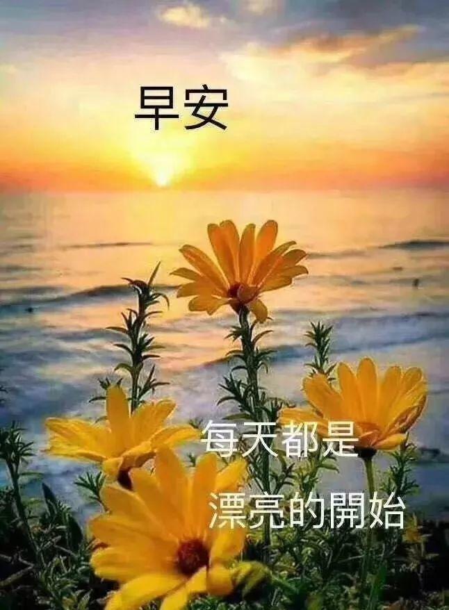 关于早安的句子简短早安祝福语（晨曦暖心，祝福每一天）