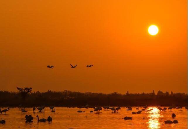 赞美夕阳的佳句（夕阳美景赏析——短句、诗句的唯美描写）