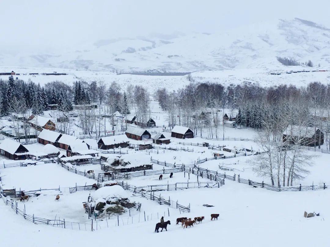 冬雪诗词古句有哪些（12句唯美冬雪诗词）