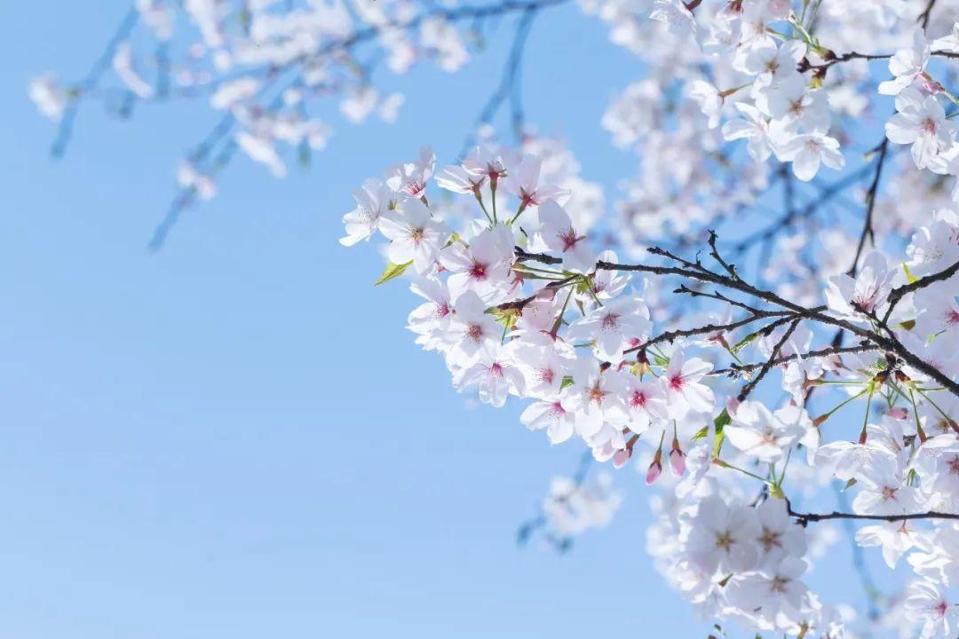 纷纷扰扰时光度，梦里沉香醉流年（6首唯美时光诗词）